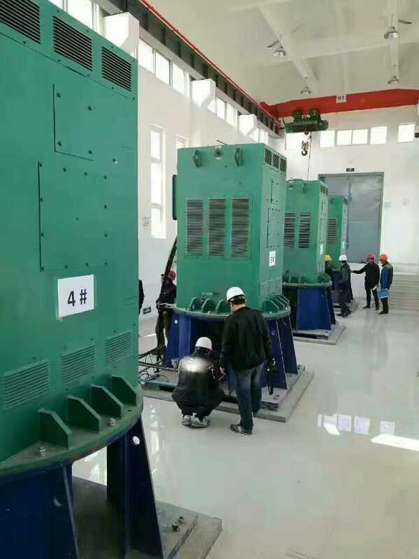咸阳某污水处理厂使用我厂的立式高压电机安装现场生产厂家